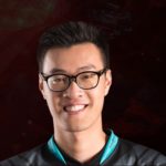 Wildturtle