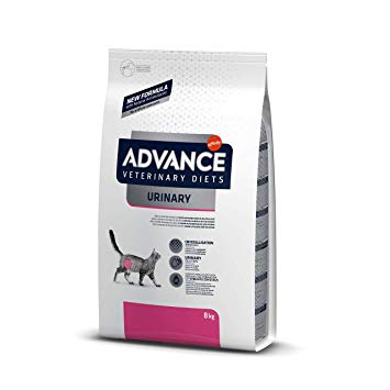 croquette-chat-Advance-Diets