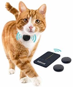 gps-pour-chat-tabcat